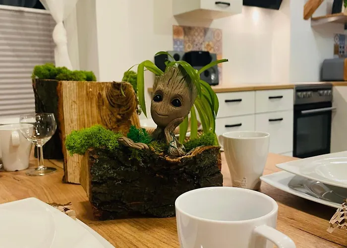 Happy & Relax ביילסקו-ביאלה